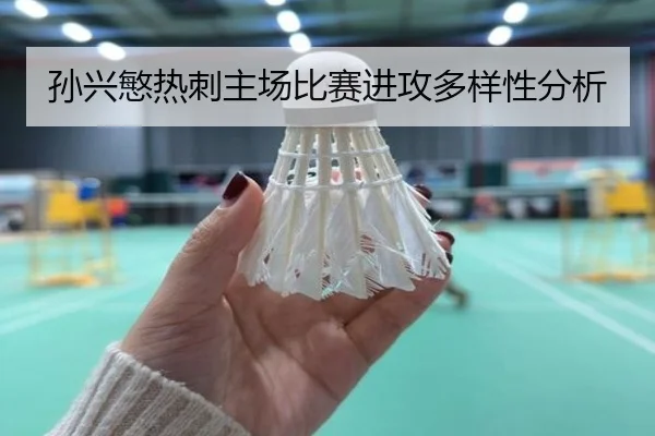 孙兴慜热刺主场比赛进攻多样性分析